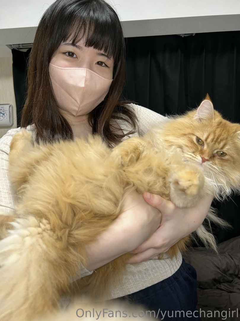 I tried doing this on my real cat you won t believe what happened 