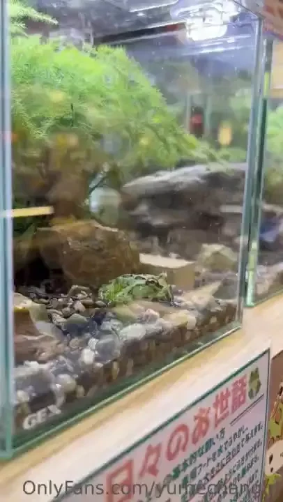 The staff looked at me weird because of this sound i promise it wasn t 