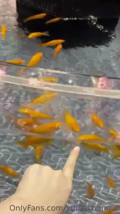 The sign said don t touch but 