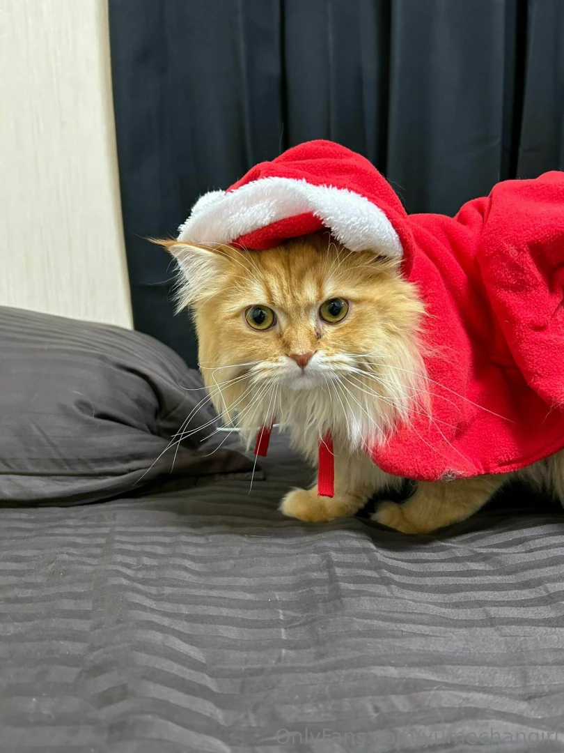 Christmas-kun part 3 