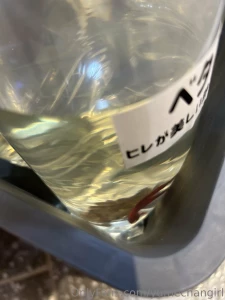 This was so cool at the frog store i also saw that there were these part 1