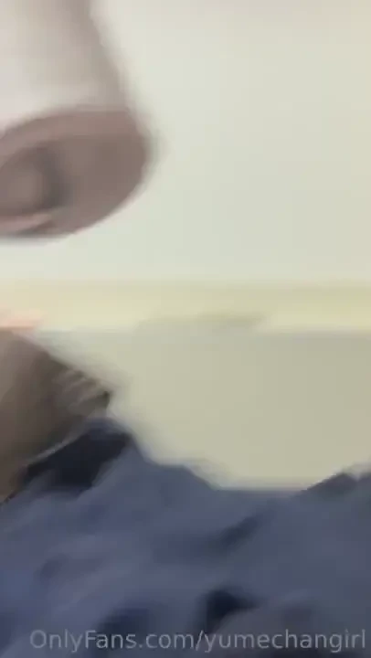 Operation remove cat-hair 