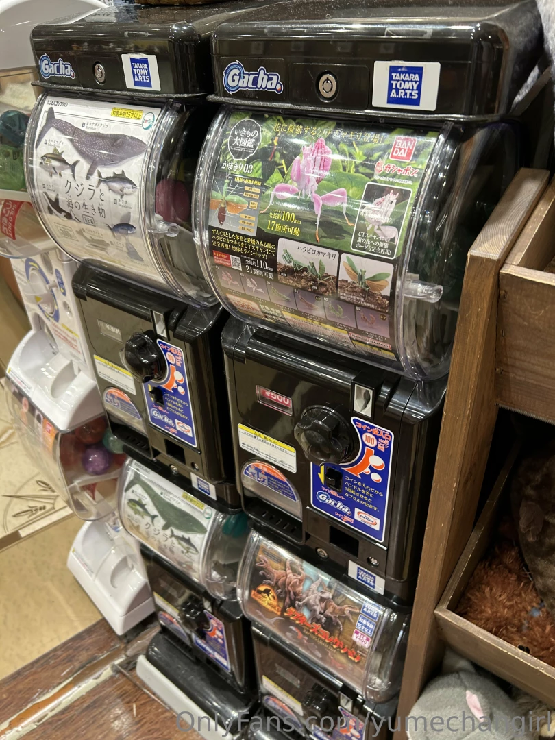 Which gacha do you think i got look at the last video to find out i part 1 