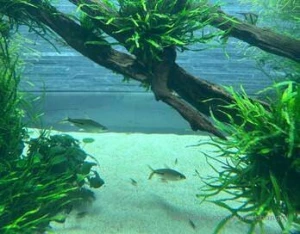 If this was you and me what would you say