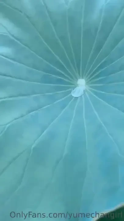 I always used to do this when i was younger 