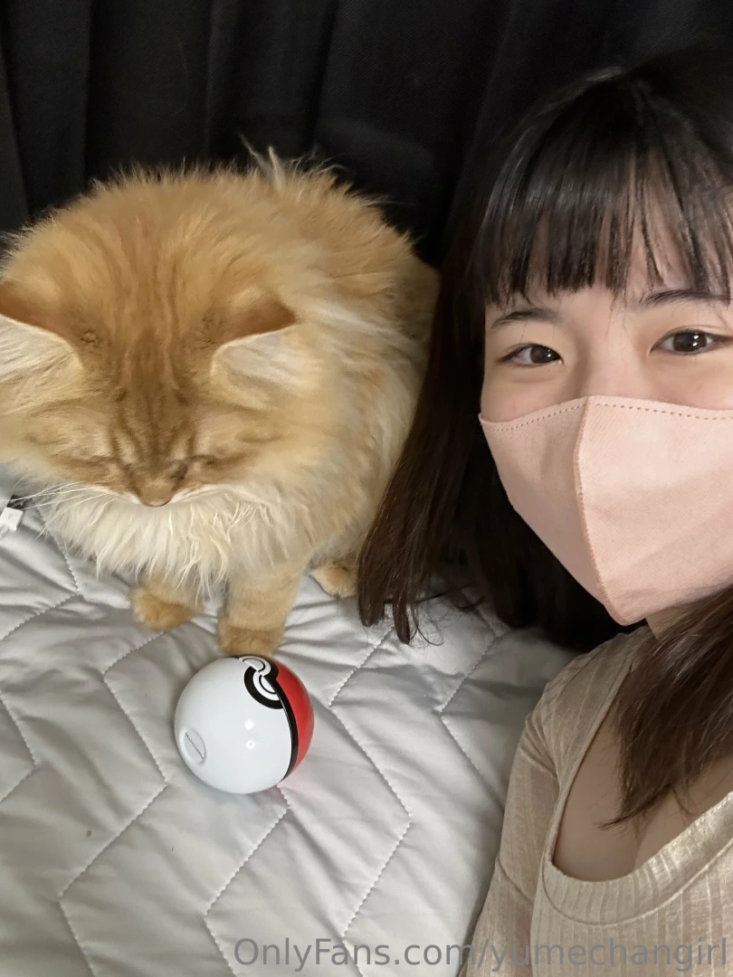 I caught evee my cat hated recording this one lol part 6 