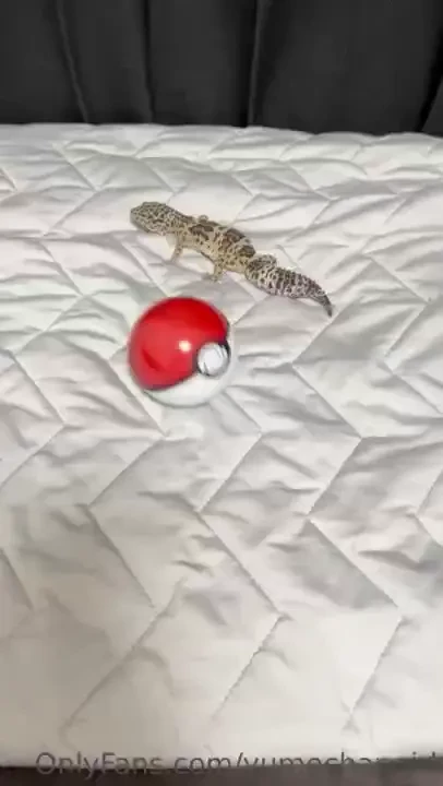 I caught charmander part 1 