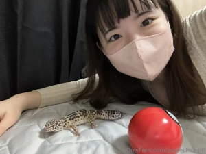 I caught charmander part 4