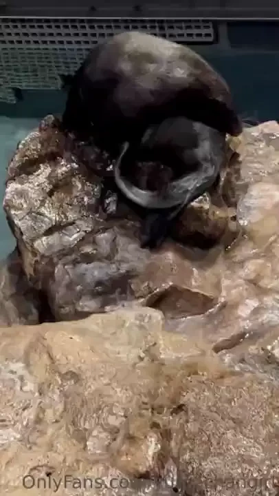 This is me in the mornings 