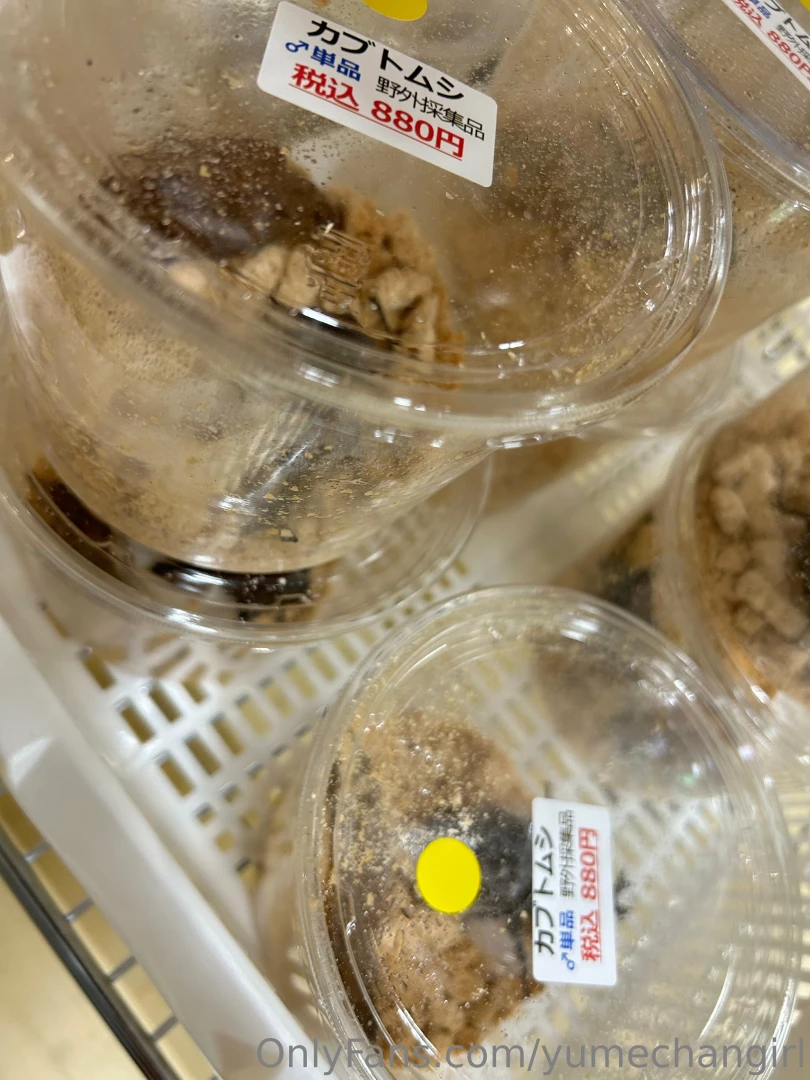 Since it is summer the insects are starting to come alive so i part 2 