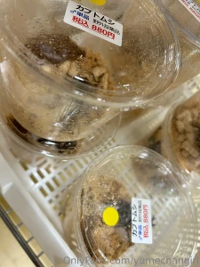 Since it is summer the insects are starting to come alive so i part 2