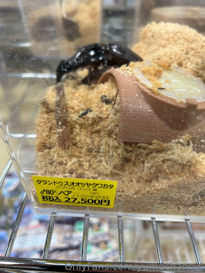 Since it is summer the insects are starting to come alive so i part 7 