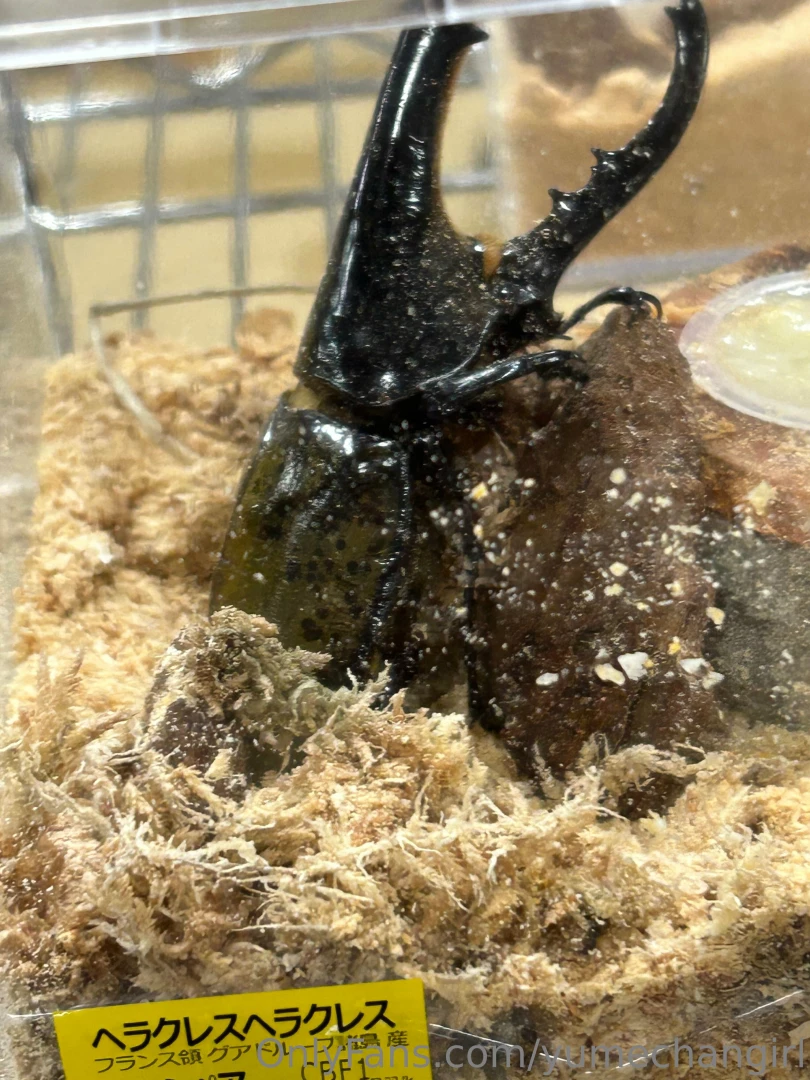 Since it is summer the insects are starting to come alive so i part 5 