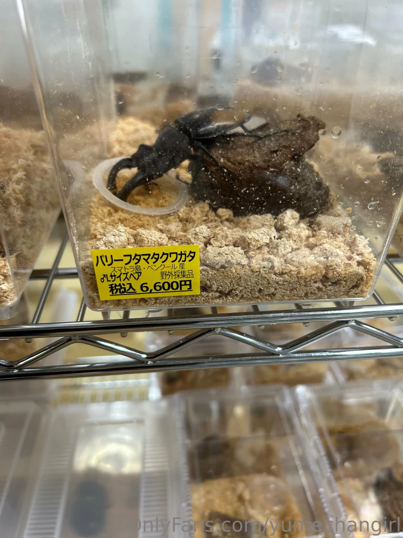 Since it is summer the insects are starting to come alive so i part 3 