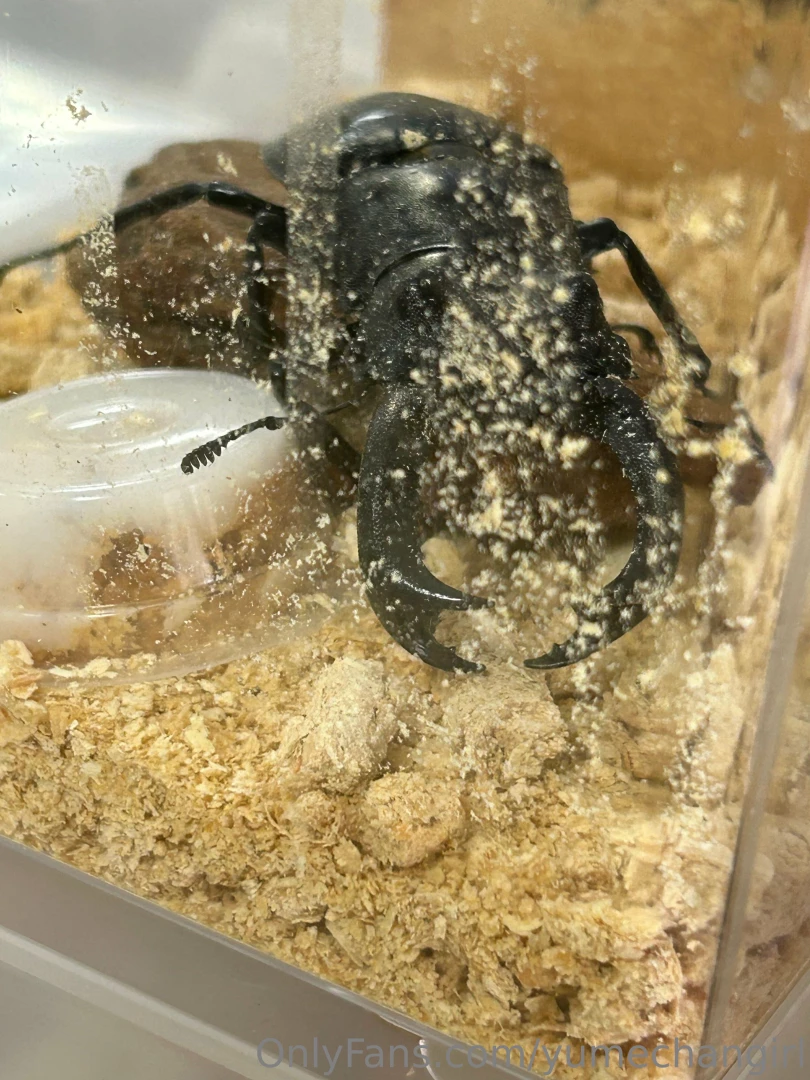 Since it is summer the insects are starting to come alive so i part 1 