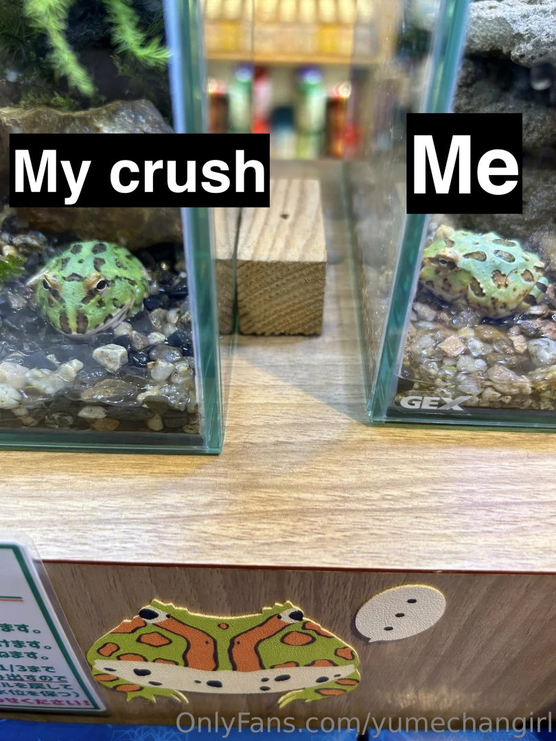 Which frog are you part 1 