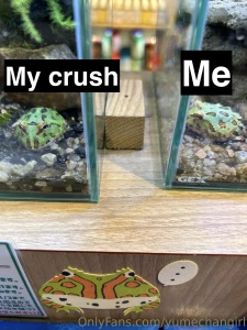 Which frog are you part 1