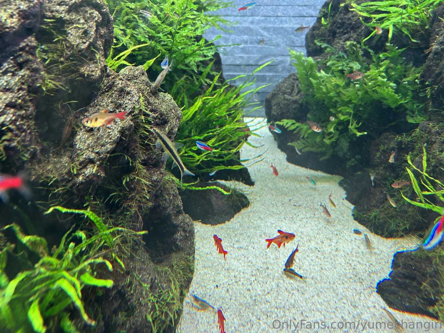 If this was you and me on a date would you walk up to me and propose part 1 