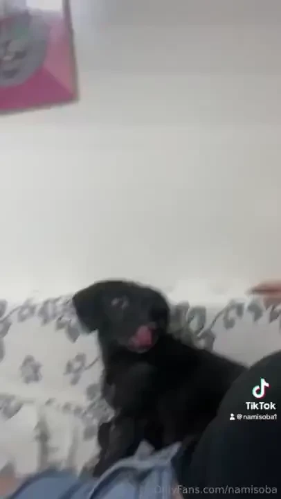 What u like more what im posting part 37 