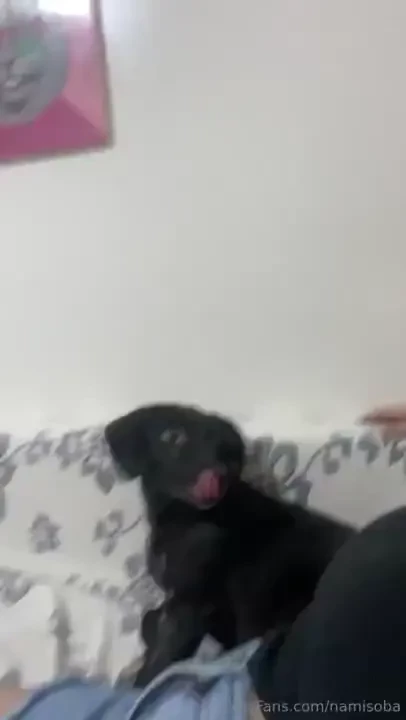 What u like more what im posting part 38 