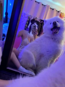 The other day i went to a medieval fair in my fairy festival dress i part 9