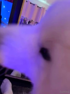 The other day i went to a medieval fair in my fairy festival dress i part 4