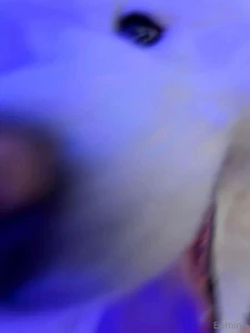 The other day i went to a medieval fair in my fairy festival dress i part 3