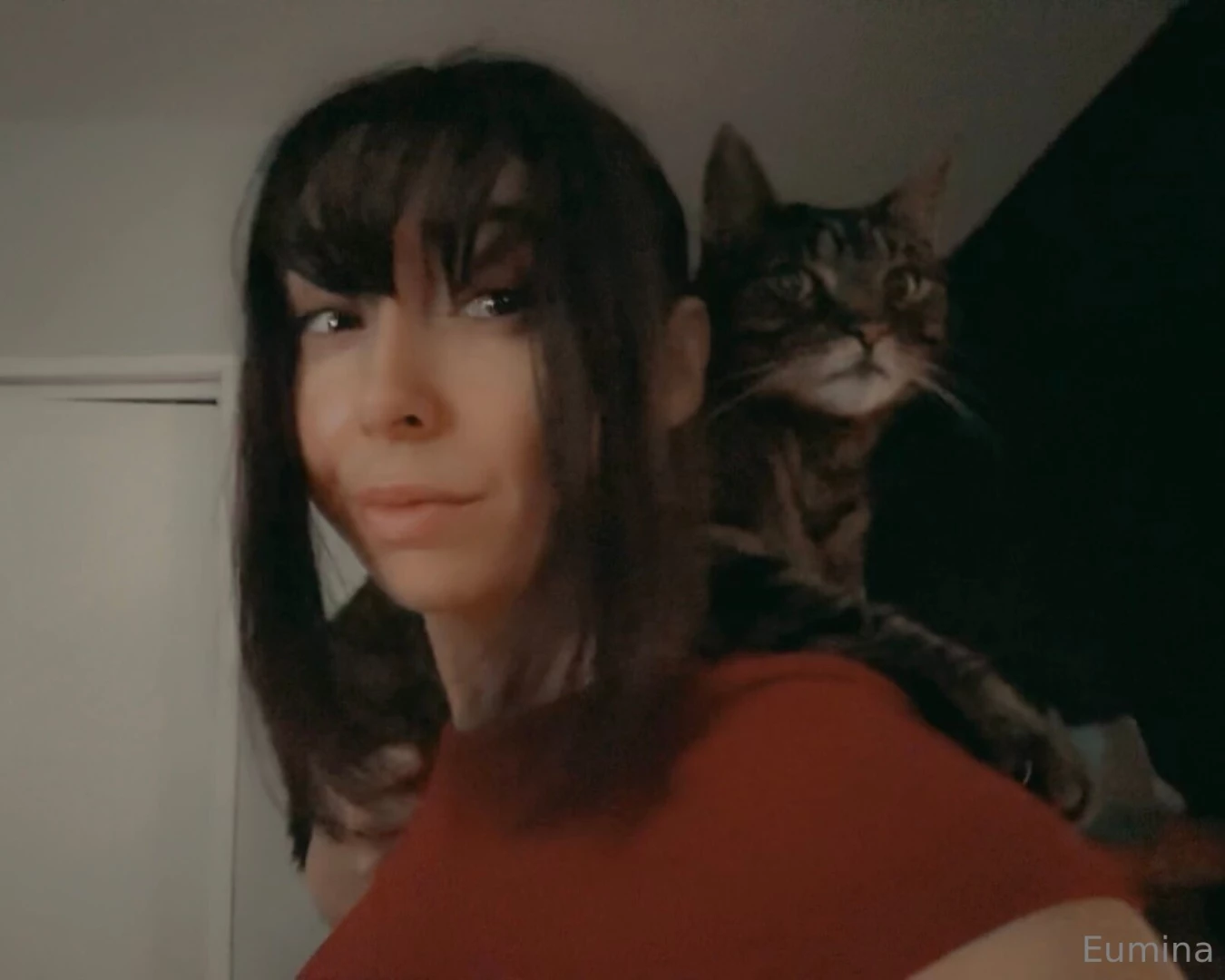 It s hard to get anything done when i have a cat chilling on my part 3 