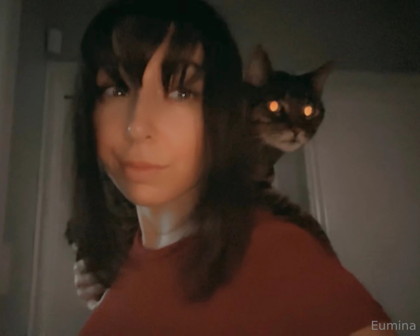 It s hard to get anything done when i have a cat chilling on my part 2 