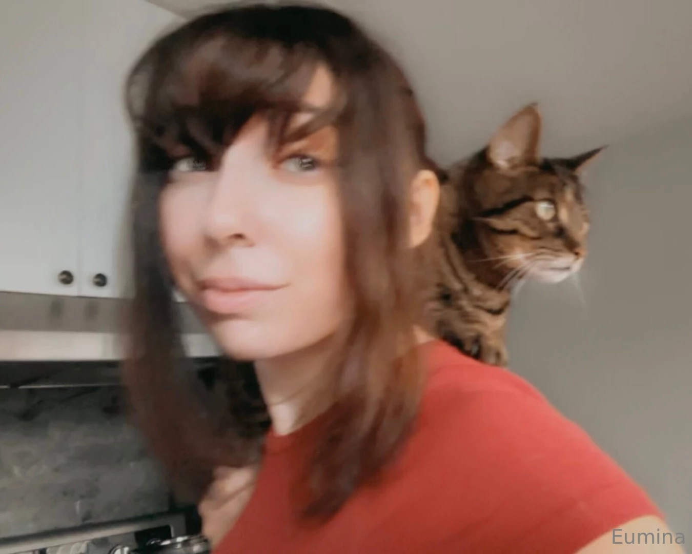 It s hard to get anything done when i have a cat chilling on my 