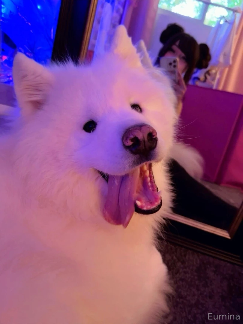 Guess who needs a visit to the vet again part 2 