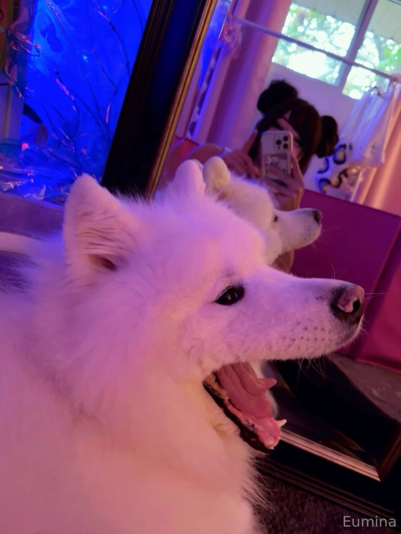 Guess who needs a visit to the vet again 