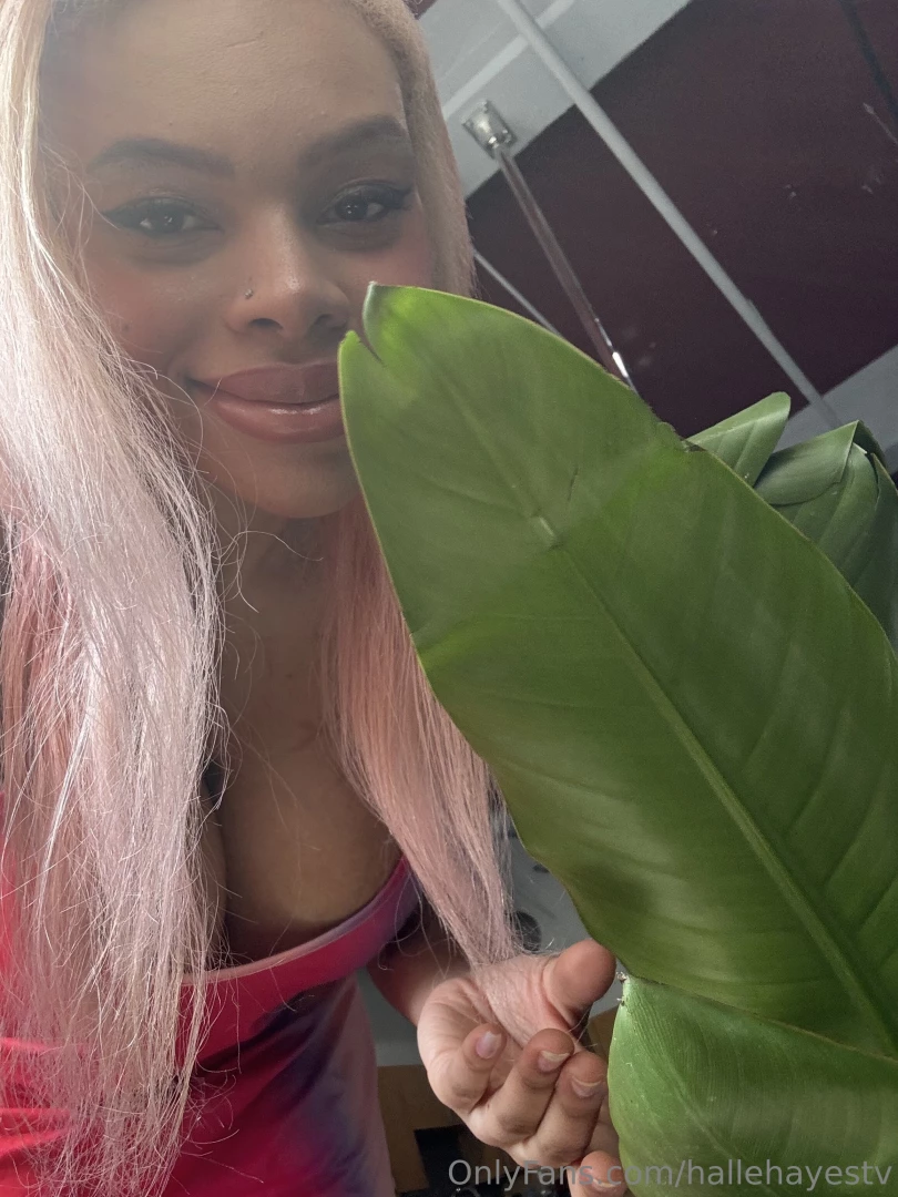 Do you love how plants smell 