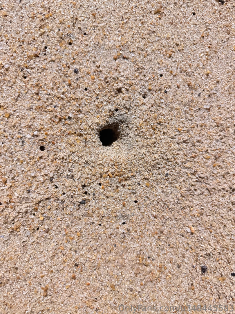 Love love guys this is some randome s heet but much love part 2 