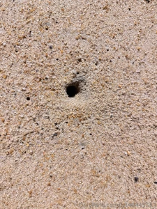 Love love guys this is some randome s heet but much love part 2