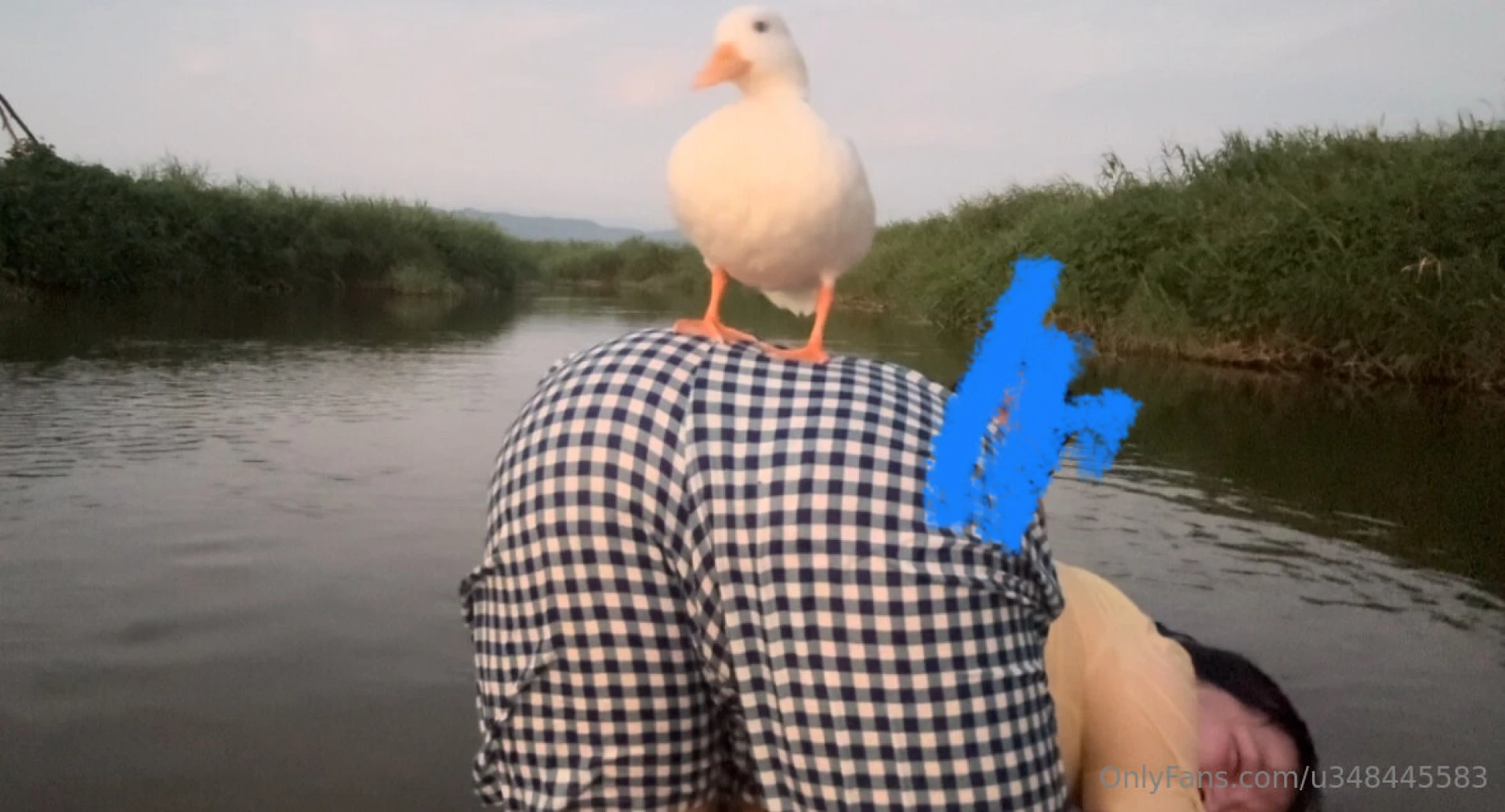 Ahhh is this called spicy conten t 