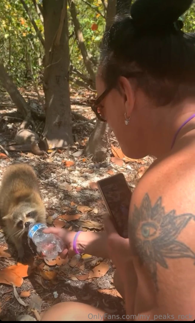 My-peaks-rock part 4 