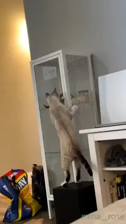 To elaborate on my lil posting hiatus i was let go from possibly the part 3 