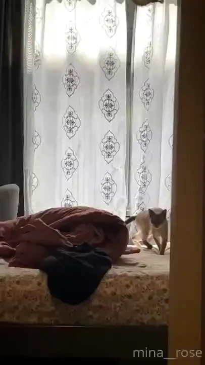 To elaborate on my lil posting hiatus i was let go from possibly the 