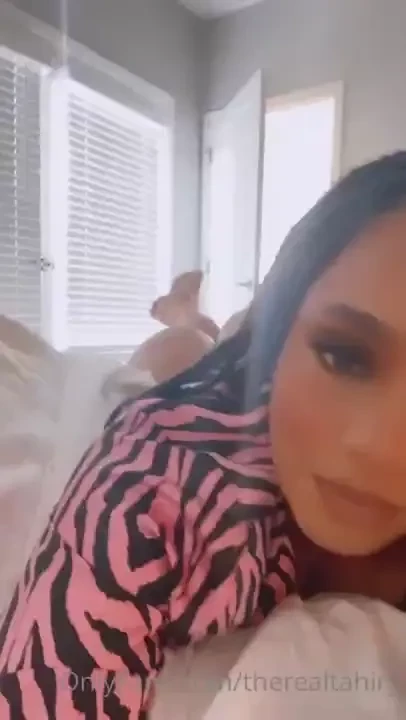 Brand new bundle in your inbox 