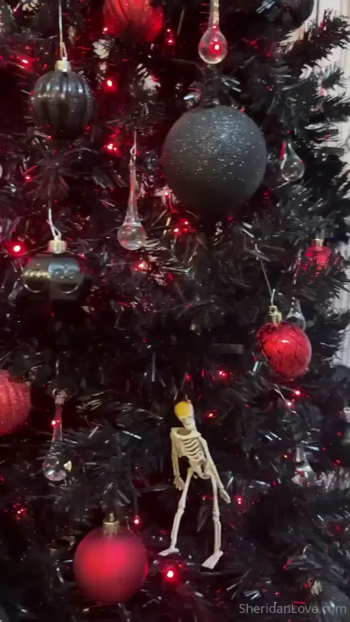 My creepy christmas tree and some boobies lol 