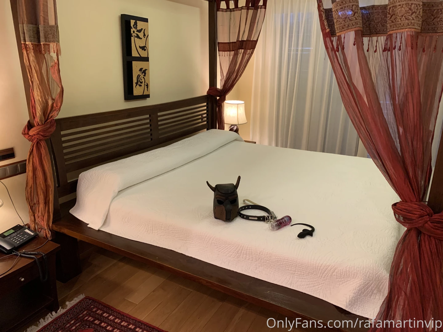 Mis aventuras x de lujo con mi cachorro contin an esta semana en mi p 