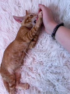 Would you play with my kitty part 4