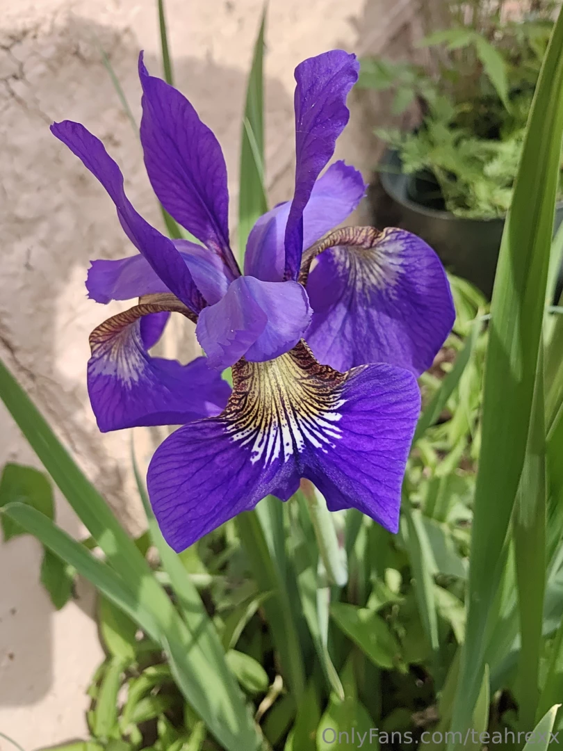 Mmm live soon be sure to get my main ig teeaahhrex 