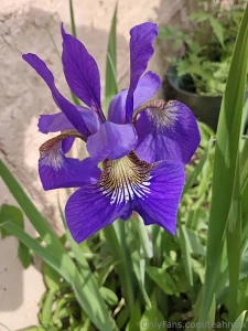 Mmm live soon be sure to get my main ig teeaahhrex