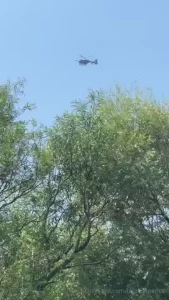 Ffs the police are hovering over my garden do you think they re gonna