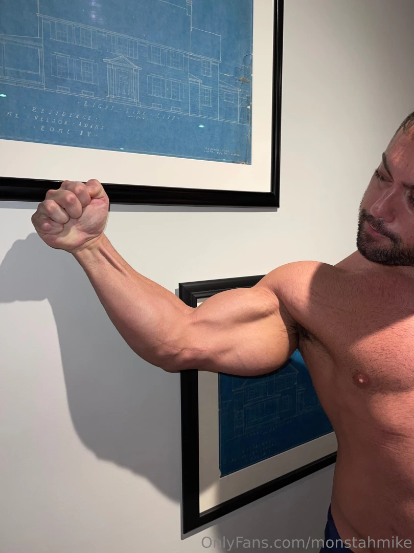 Who wants to take a bite out of these pythons 