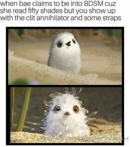 Late night meme checkpoint stop and send me the memes you ve collected part 3