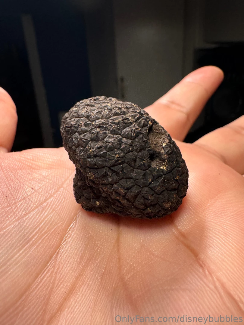 Tits and truffles anyone wanna guess what i m cooking tonight 