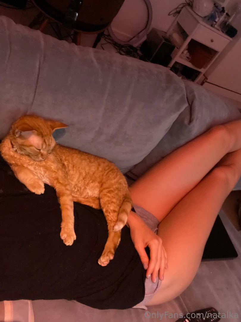 Cat are my totem animals wbu 
